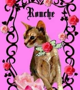 ROUCHEの額～薔薇の国星～