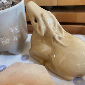 l'Etoile Bleue ～ほしとともに～