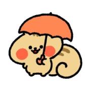 yoshitakaさんのプロフィール