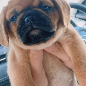 ゆるっとこむさんぽ