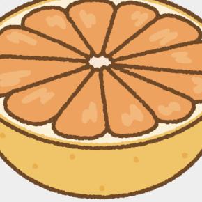 comorebiの日々〜あるもので楽しむ〜