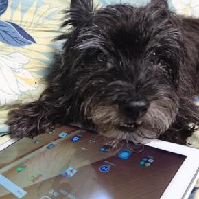 歩きつまづきながら（何しよう）