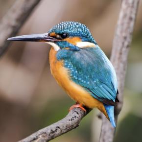 優香の悠々日記