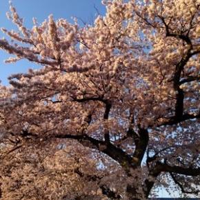 2028年に退職する50男の行動