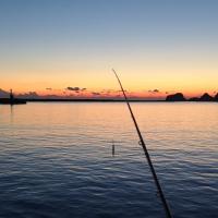 カサゴが釣りたい