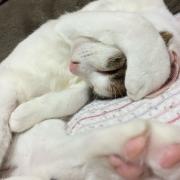 ななさんのプロフィール