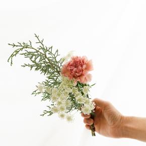 Rainbow Rose〜はなれていても心は一つ〜