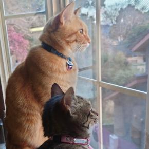 ©emi.k ペン画・ペンアート