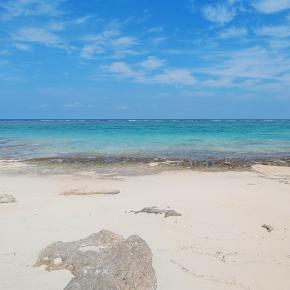 農家暮しで在宅ワークをしていた矢先、難治性喘息に