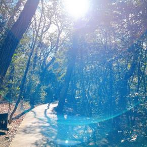 長い夢を見ていた