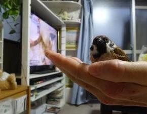 前を向いて歩いてく