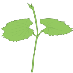 つれづれブログ_メモとかいろいろ