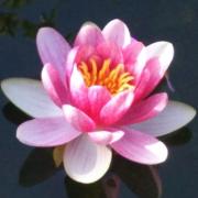 Ree2014さんのプロフィール