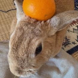 サードアイから目覚める☆