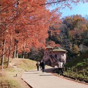 あけぼの子どもの森公園 初冬