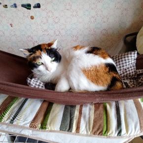 大阪市西区、道頓堀にて