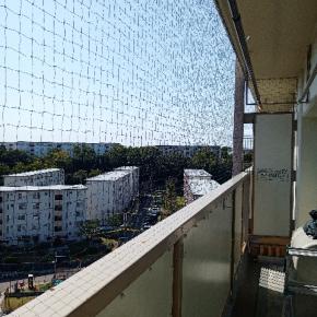 堺市での鳩よけネット施行