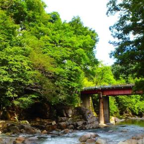 禁煙10日目・・・