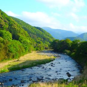 不思議な川・・・伊豆 狩野川 渓流釣行
