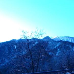 高原川漁協 ニジマス調査釣り大会への参加