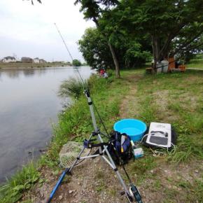入間川でナマズのブッコミ釣りに挑戦！ミミズでやれば何か釣れるかな？