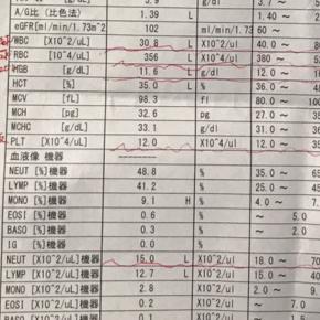 2019/3/6〜ゼロックス療法3クール目始まった〜