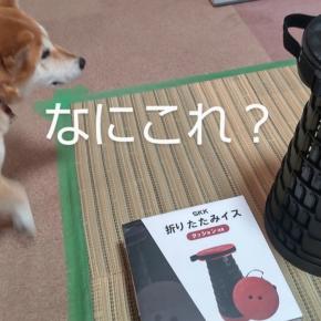 万博で欲しかった物✨