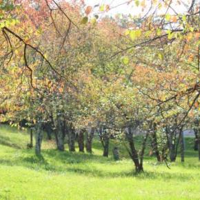 久しぶりの動物園
