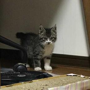 2473. 一件落着だね。