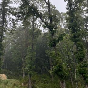 雨のグルキャンでも快適？！【山のハコ/岐阜県郡上市】