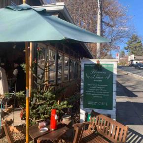 ■🎄骨董好きにはたまらないお花屋さん「💐Flowers for Lena」≪八ヶ岳観光≫（山梨県北杜市）