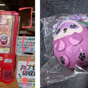 2025/12/10 Wed 晴 推せる！ みずほまる