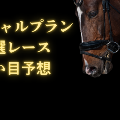 保護中: 1月4日（日）Sプラン用 競馬予想