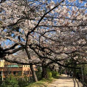 【4/5の乗務日誌】 身体のリズムが悪いとき…