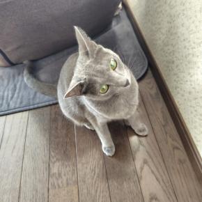 訳あって、寝不足