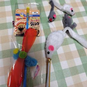 これで合ってます？