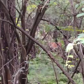 目をこらすと！！