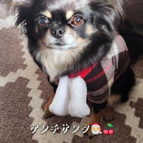 ピエロさんのニットセーター買って良かった～♡