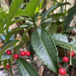 今年も集まって喋って食べて・・・