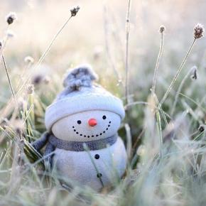 セパレート帰省