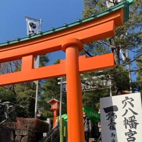今年も穴八幡宮へ