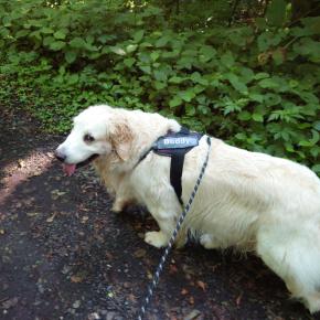 熱中症とは無縁！