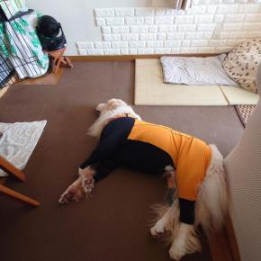 手術終了もトラブルが＾＾；