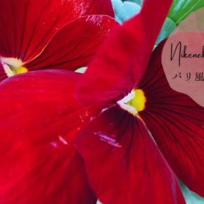 50代1週間コーデと今年のワードローブ振り返り