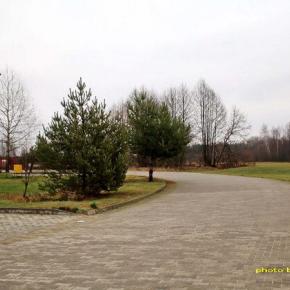 ビーバー被害の防止網を設置したが