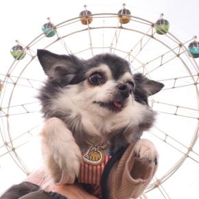 2025年を振り返る ☆前編☆