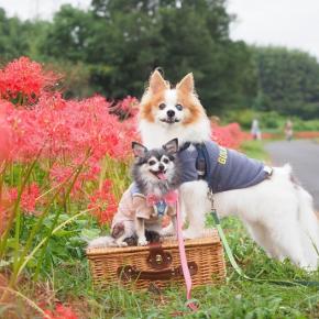 2025年を振り返る ☆後編☆