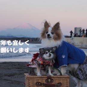 湘南海岸から新年のご挨拶 ☆2026年のスタート☆