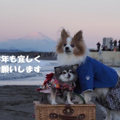 湘南海岸から新年のご挨拶 ☆2026年のスタート☆