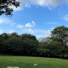 9月のカレンダーとUPし損なった8月のカレンダー